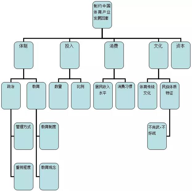 体育行业分析