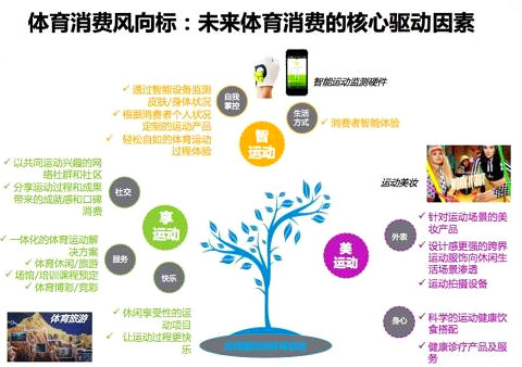 增城 互联网体育